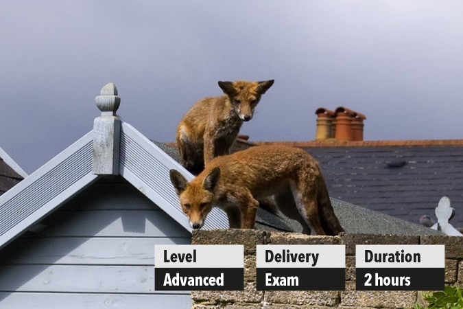 Technical inspector Technical inspector